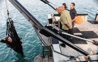 Hawaii Five-0 – Das Team um Kono (Grace Park, 2.v.r.), Steve (Alex O'Loughlin, r.) und Grover (Chi McBride, 2.v.l.) kommt einem Ring illegal arbeitender Fischer auf die Schliche. Währenddessen versucht Danny alles, um sein gestohlenes Auto wiederzubekommen ...