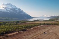 Skandinavien – Für die Landwirte im hohen Norden ist es wichtig, dass Kartoffeln früher anfangen zu wachsen, weil die Wachstumssaison hier so kurz und kühl ist: Kartoffelacker mit Traktor im norwegischen Målselv-Tal.