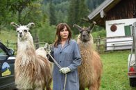 Frühling – Katja Baumann (Simone Thomalla) weiß auch nicht so recht, was sie nun mit zwei Lamas anfangen soll.