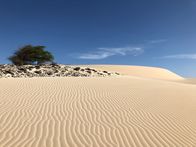 Im Land der Feuerberge – Der Wüstensand auf der Insel Boa Vista bildet die schönsten Sandstrände der Kapverden.