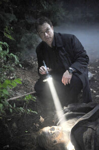 CSI: NY – CSI: NY (2010)