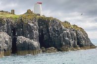 Leben an der Nordsee – Die „Isle of May“, etwa acht Kilometer vor der Küste von Anstruther, gehört heute ganz den Seevögeln.
