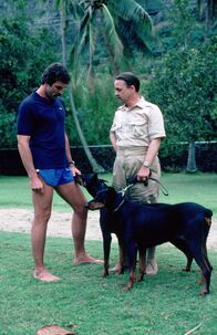 Magnum – Die beiden Dobermänner Zeus und Apollo kann Magnum (Tom Selleck, l.) nicht besonders leiden. Schon gar nicht nachdem er erfährt, dass Jonathan Higgins (John Hillerman, r.) die beiden Hunde auf ihn abgerichtet hat ...