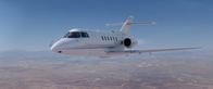 Skybound – Ein Flugzeug, besetzt mit fünf Freunden, befindet sich auf dem Weg von New York nach Los Angeles. Doch während des Flugs stellt sich heraus, dass unten auf der Erde ein globes Desaster stattgefunden hat.