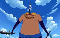 One Piece – Mi, 07.05., 16:50 Uhr