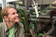 Einstein – Moderatorin Kathrin Hönegger mit einem Gecko Copyright: SRF