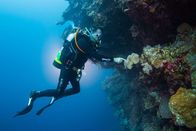Lebensraum Riff – GREAT BARRIER REEF - Commercial dive instructor Paddy Colwell inspecting the marine life on the Great Barrier Reef.