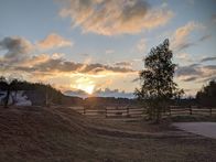 Welt der Tiere – Sonnenaufgang im Tennenloher Forst.