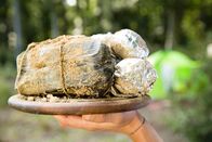 Schmatzo – Beiried mit Folienkartoffeln im Erdloch gegart.