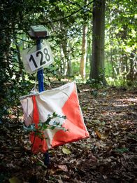 Orientierungslauf: Weltmeisterschaften – Orientierungslauf - allgemeine Szene