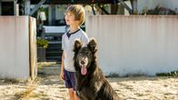 The Last Wave – Thomas (Gaël Raes) hat in einem Straßenhund einen neuen Freund gefunden.