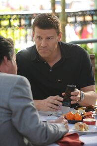 Bones - Die Knochenjägerin – Seeley Booth (David Boreanaz)