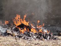 Bin Laden: Analyse eines Terroristen – Burned records and files that belonged to Bin Laden.
