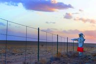 The Signal – The Signal (2014)