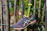 Mein leckerer Garten – Jürgen ist passionierter Langstrecken-Läufer; ausgediente Sportschuhe funktioniert er einfach um.