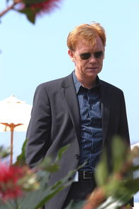 CSI: Miami – CSI: Miami (2005)