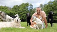 Hunde verstehen! – In Hunde verstehen! ist Andreas Ohligschläger in Nordrhein-Westfalen unterwegs und unterstützt Hundehalter, ihre Hunde richtig zu verstehen und Probleme wieder in den Griff zu bekommen.