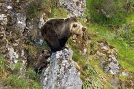 Wildes Spanien – An der abwechslungsreichen Küstenlinie Nordspaniens finden sich traumhafte Buchten. Weitere Fotos erhalten Sie auf Anfrage.