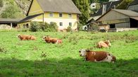 Grüße aus der Küche – Kärnten ist bekannt für seine Almhütten. Die Kühe tragen große Glocken um den Hals und wenn sie sich bewegen, läutet es überall.