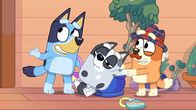 Bluey – Bluey (2021)