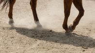 Yellowstone – Sa, 09.08., 17:25 Uhr