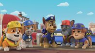Rubble und Crew – v.li.: Rubble, Wheeler, Chase, Charger, Mix