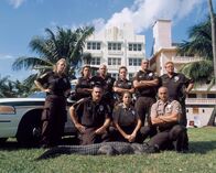 Tierpolizei Miami – Animal Services Unit