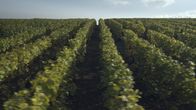 Große Erfindungen – Große Erfindungen (2020)