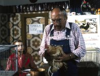 Löwenzahn Classics – Bei einer Tombola gewinnt Peter ein Huhn.