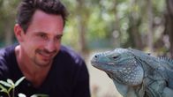 Abenteuer Karibik – Der Biologe Matt Götz kämpft seit zehn Jahren mit einem erfolgreichen Zucht- und Auswilderungsprogramm um das Überleben des Blauen Leguan.