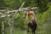 Alaskan Bush People – Gabe prepping his wedding ceremony location.
