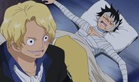One Piece – So, 30.08., 03:45 Uhr