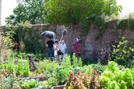 Universum – Dreharbeiten und schwersten Bedingungen mit Sir David Attenborough. Wo am heißesten Tag des Jahres 2020 in Knepp Sussex mit 37 Grad (und Covid-Einschränkungen) gedreht wurde.