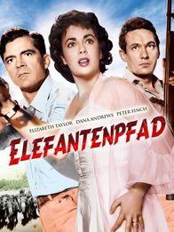 Elefantenpfad – Elefantenpfad - Artwork