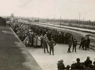 Ein Tag in Auschwitz – Die "Rampe" 1944 - hier entscheiden SS-Männer, wer sofort in den Tod gehen wird. 80 Prozent der Ankommenden werden diesen Tag nicht überleben.