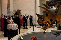 How I Met Your Mother – Ted (Josh Radnor, M.l.), Lily (Alyson Hannigan, M.M.), Marshall (Jason Segel, M.r.), Robin und Barney sind zu einem festlichen Empfang im Naturkundemuseum von New York eingeladen. Sie haben das der Tatsache zu verdanken, dass die drei Jungs inzwischen alle für die GNB arbeiten ...