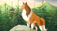 Lassie – Lassie ist stets hilfsbereit.