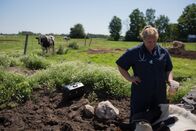 Der unglaubliche Dr. Pol – Weidman, MI - Dr. Brenda.