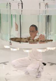 Experiment Verwandtschaft – Sie lebten schon lange vor den Dinosauriern und sie leben auch heute noch - Haie. Sie erinnern uns an den Fisch in uns.