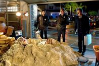 CSI: Vegas – CSI: Vegas (2014)