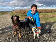 Alles Liebe – Michelle