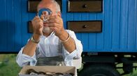 Löwenzahn Classics – Mit alten Brillengläsern vom Optiker probiert Peter (Peter Lustig) deren Vergrößerungs- und Verkleinerungseffekt aus.