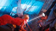 Cabin Fever 2 – Cabin Fever 2 (2009)