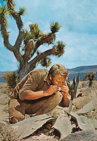 Nevada Smith – In der Wüste nutzt Nevada Smith (Steve McQueen) seine Kenntnis der Wildnis, um an Nahrung zu kommen.