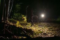 Aktenzeichen XY ... ungelöst – Nachts im Wald: Eine unbekannte Person versteckt die Leiche einer Frau, die erst viele Jahre später gefunden werden wird. Bis heute weiß die Kripo nicht, wer die Tote ist.