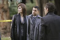 Castle – Arbeiten an einem neuen Fall: Kate (Stana Katic, l.), Javier (Jon Huertas, M.) und Kevin (Seamus Dever, r.)