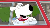 Family Guy – Brian Griffin