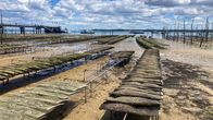 Der Geschmack Europas – Austernzucht Cap Ferret.