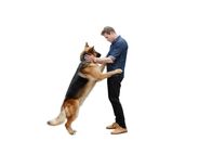 Hudson & Rex – Fr, 02.05., 13:00 Uhr