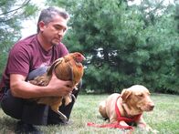 Der Hundeflüsterer – Die Hundedame Gracie will einfach nicht auf Frauchen hören und attackiert mittlerweile sogar die Haushühner. Kann Cesar (l.) ihr aggressives Verhalten unterbinden?